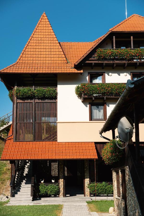 Villa Gherman Sălciua de Jos Екстериор снимка