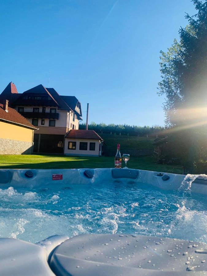 Villa Gherman Sălciua de Jos Екстериор снимка